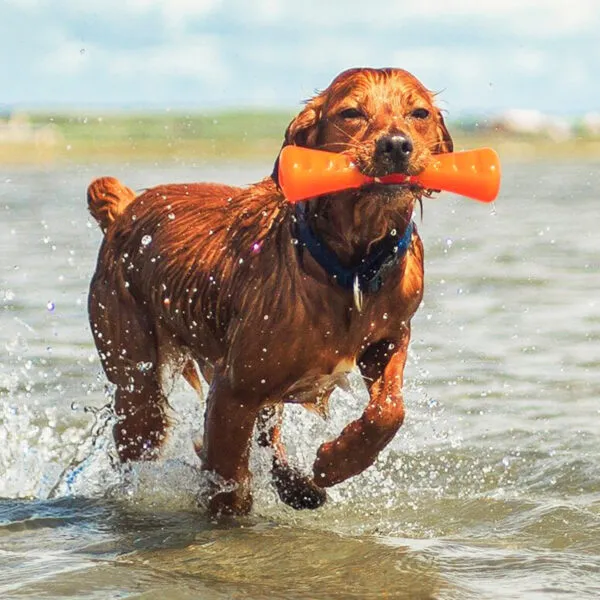 BIONIC Urban Stick Dog Toy
