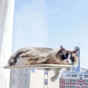 Cat Hanging Nest with Suction Cup Swing