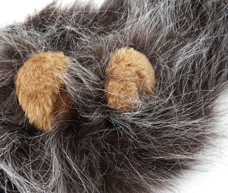 Cat Lion Mane Costume