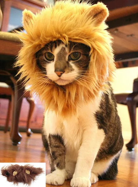 Cat Lion Mane Costume