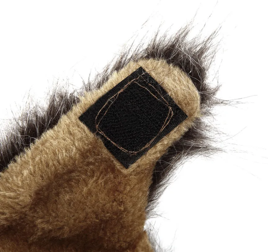 Cat Lion Mane Costume