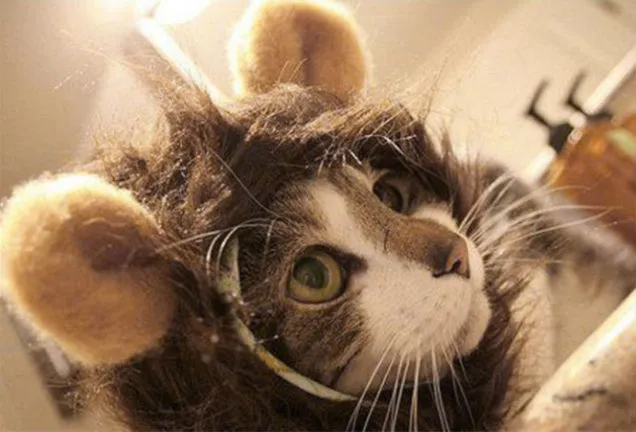 Cat Lion Mane Costume