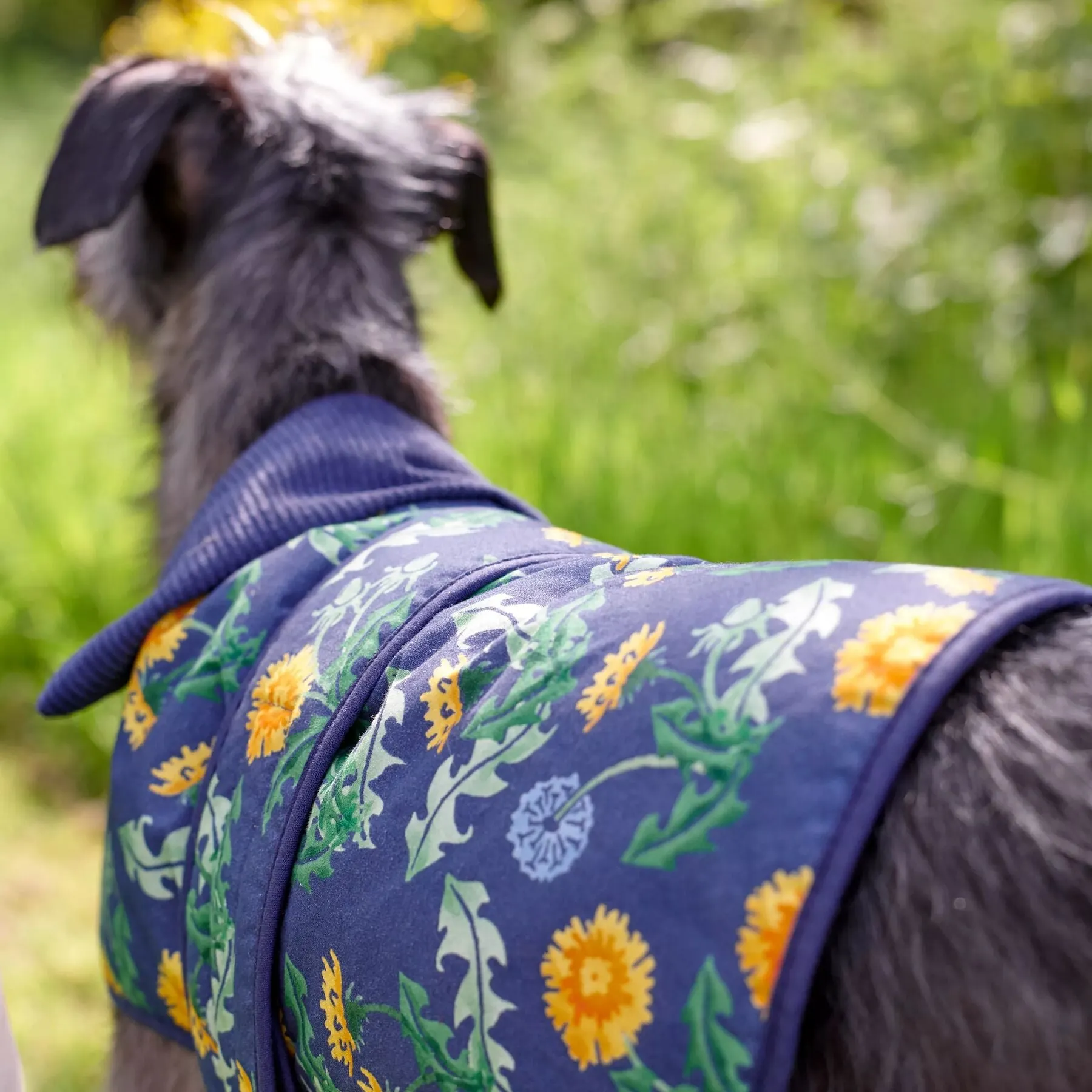 Dandelion Waterproof Waxed Cotton Large Pet Coat