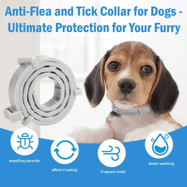 Flea and tick collar for dogs, Dog flea and tick collar, Natural flea and tick collar for dogs