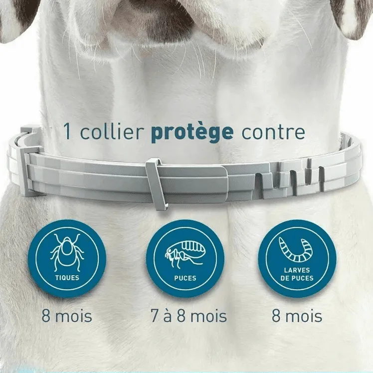 Flea and tick collar for dogs, Dog flea and tick collar, Natural flea and tick collar for dogs