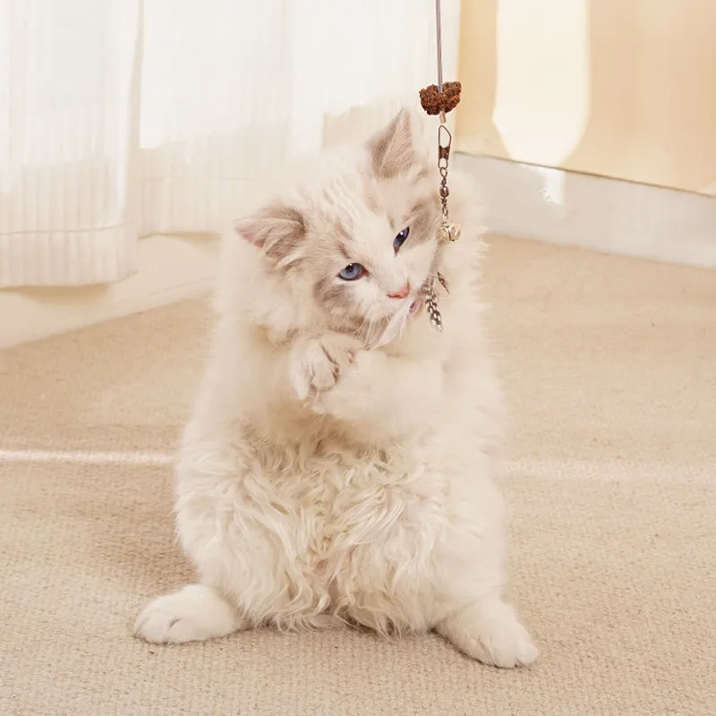 Frozen Treat Dispensing Cat Toy