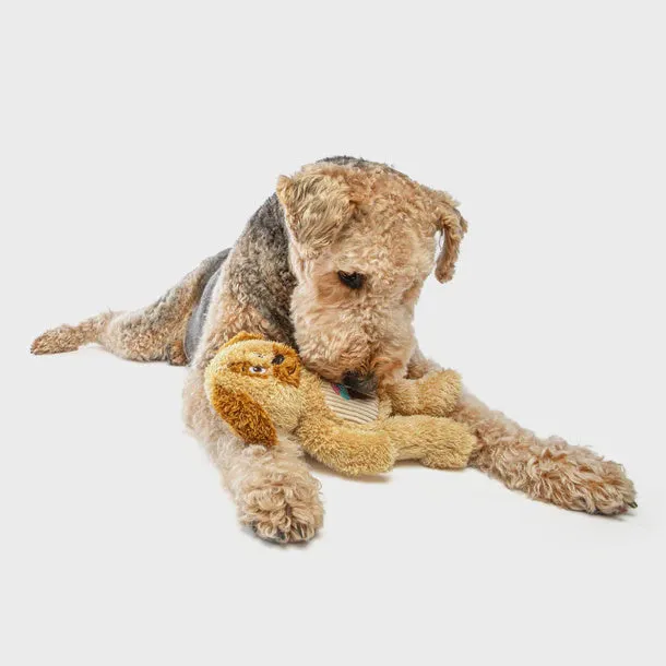 Guru Soft Scents Dog Dog Toy