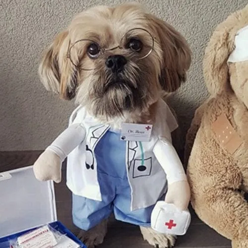 Halloween Costumes
