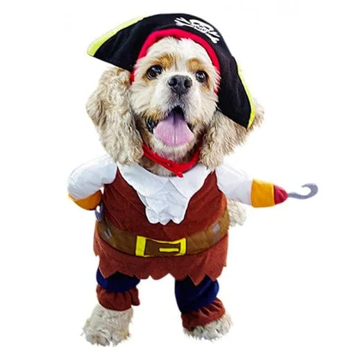 Halloween Costumes