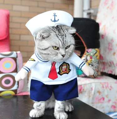Halloween Costumes