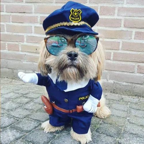 Halloween Costumes