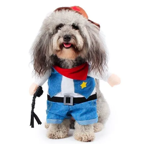 Halloween Costumes