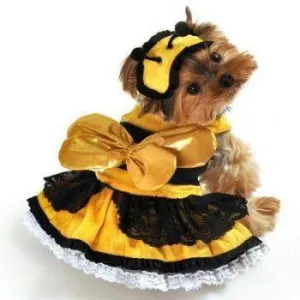 Honey Bee Costume