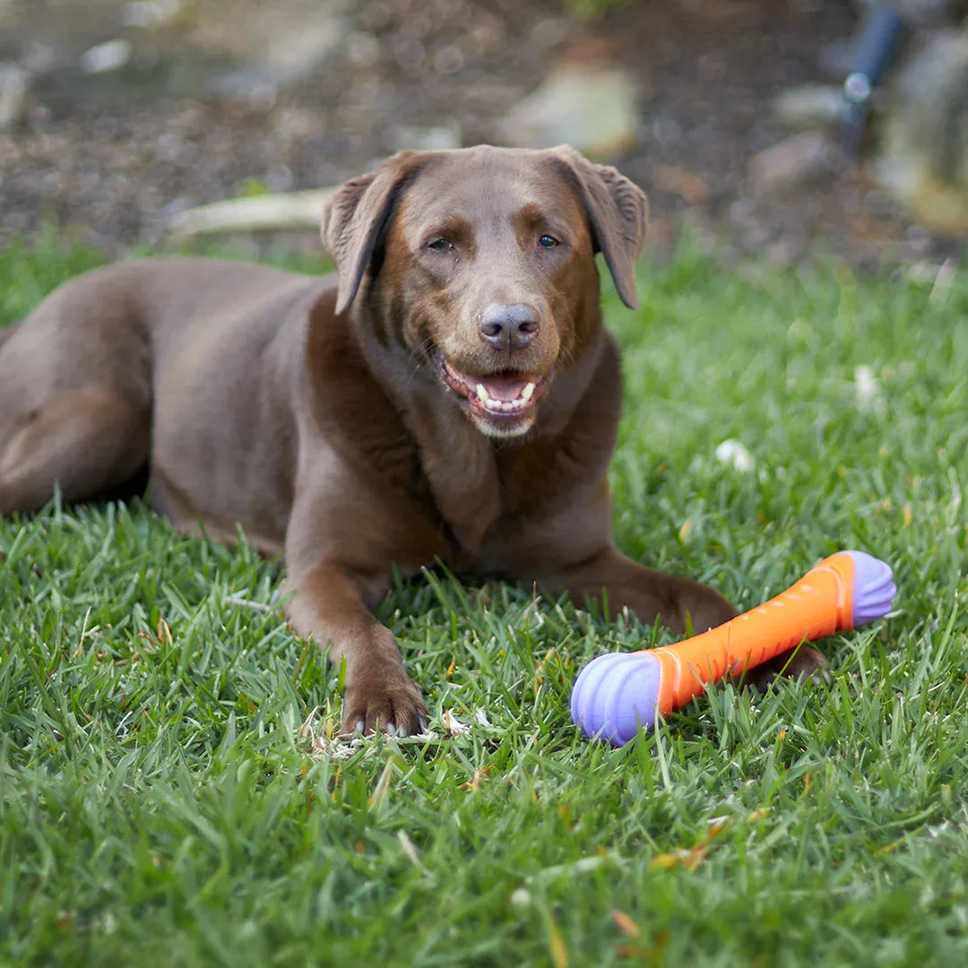 Kazoo Extreme Play Chew Stick Dog Toy Large^^^