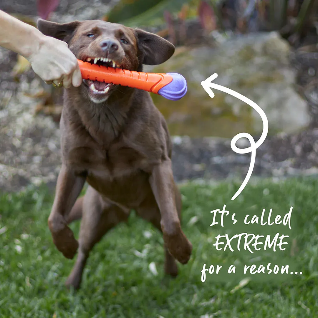 Kazoo Extreme Play Chew Stick Dog Toy Large^^^