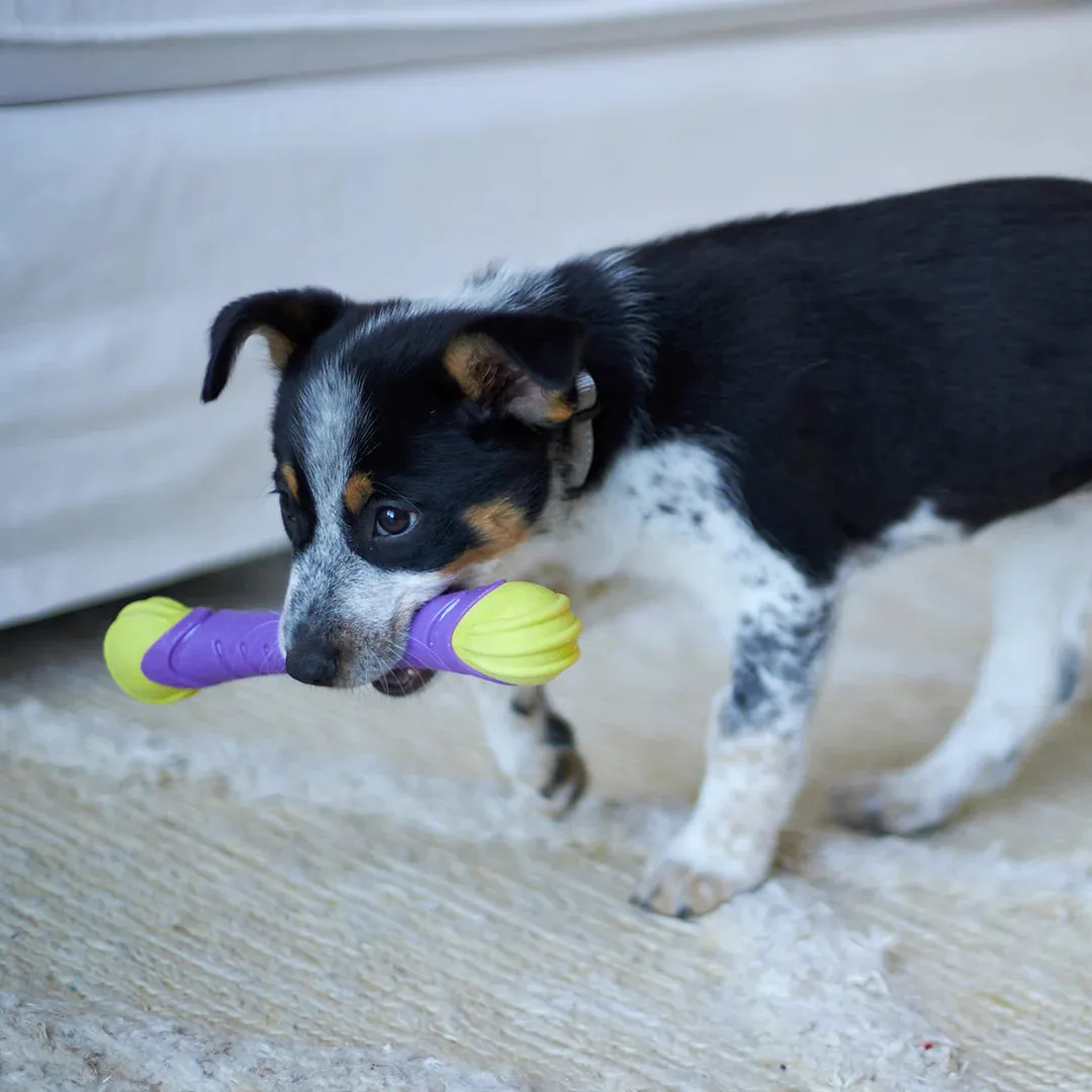 Kazoo Extreme Play Chew Stick Dog Toy Medium^^^