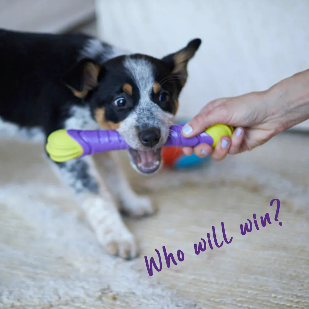 Kazoo Extreme Play Chew Stick Dog Toy Medium^^^