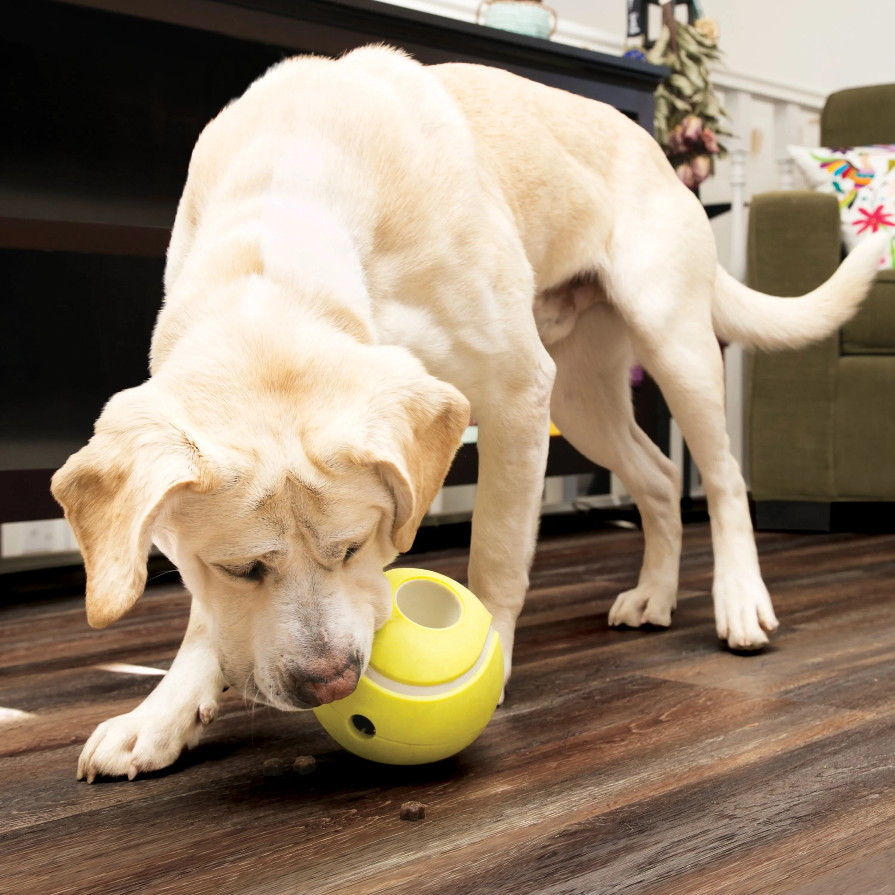 Kong Rewards Tennis Ball Treat Dispensing, Dog Toy