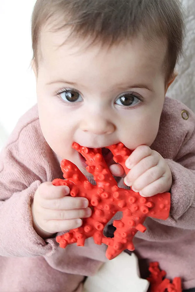 Lanco Coral Teether