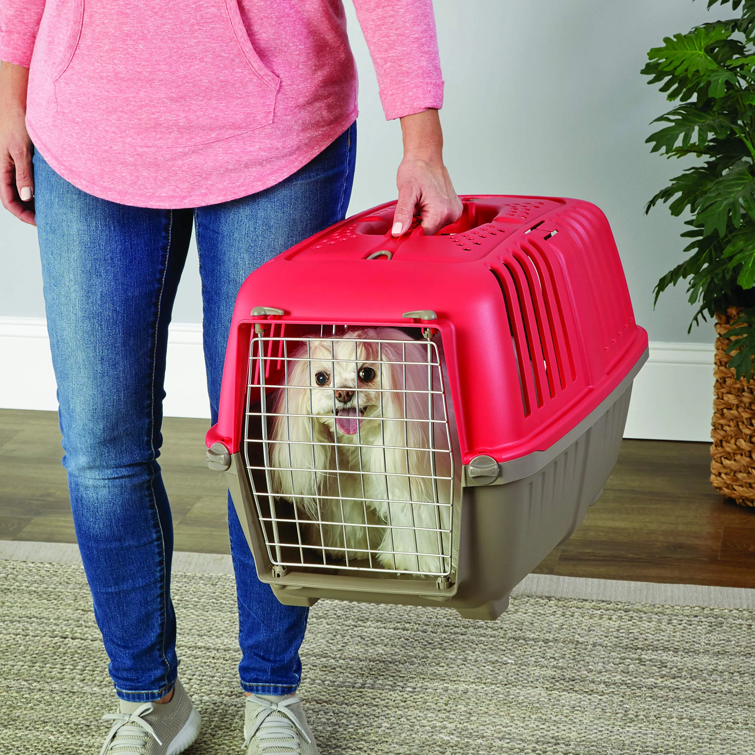 Midwest Spree Hard-Sided Travel Cat and Dog Kennel Carrier - Red - 24" X 15.5" X 15" Inches