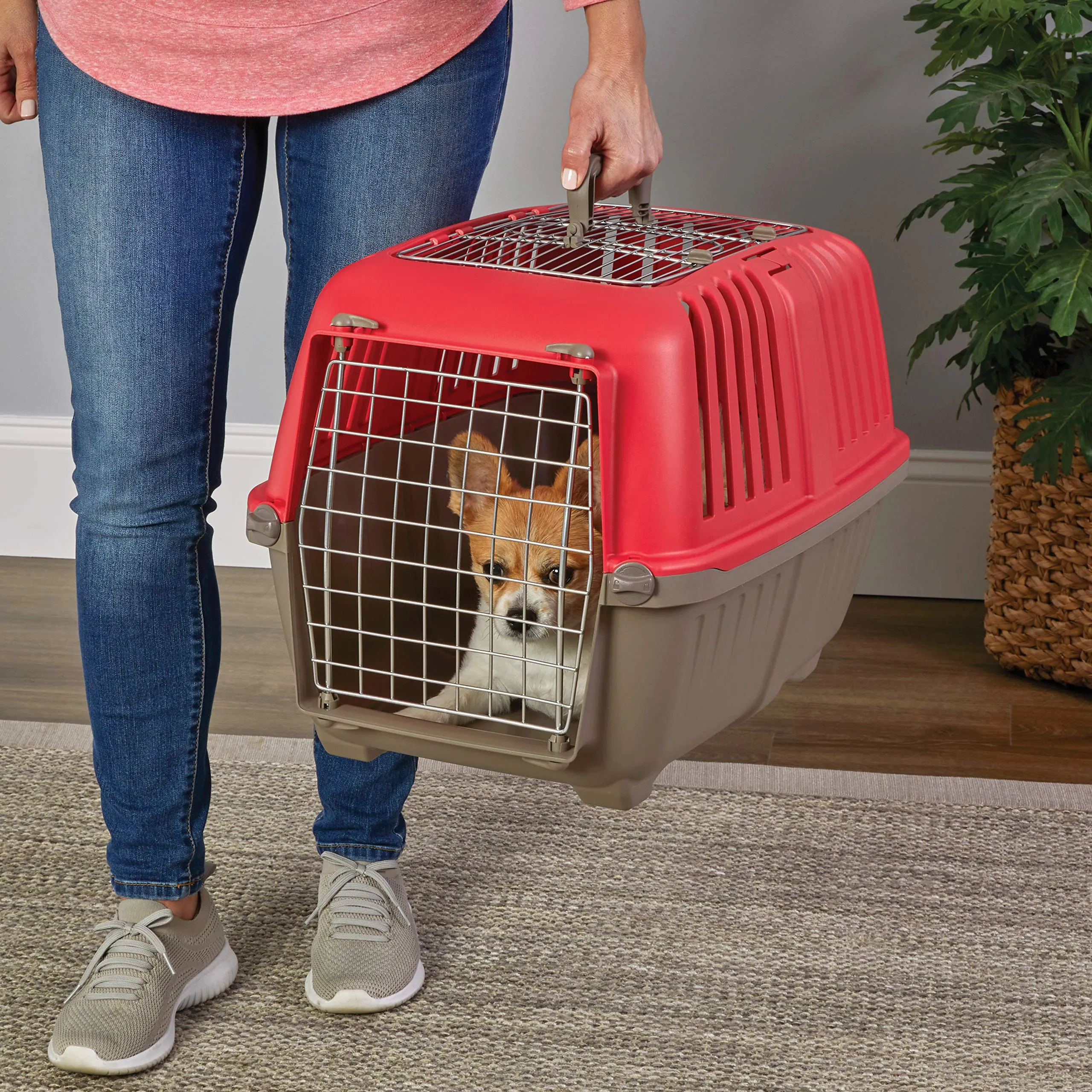 Midwest Spree Top Loading Double Door Travel Dog Kennel Carrier - Red - 24" X 15.5" X 15" Inches
