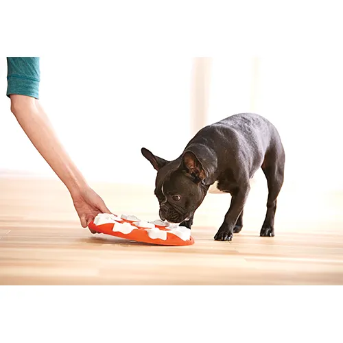 Outward Hound Nina Ottosson Treat Puzzle - Dog Smart Orange
