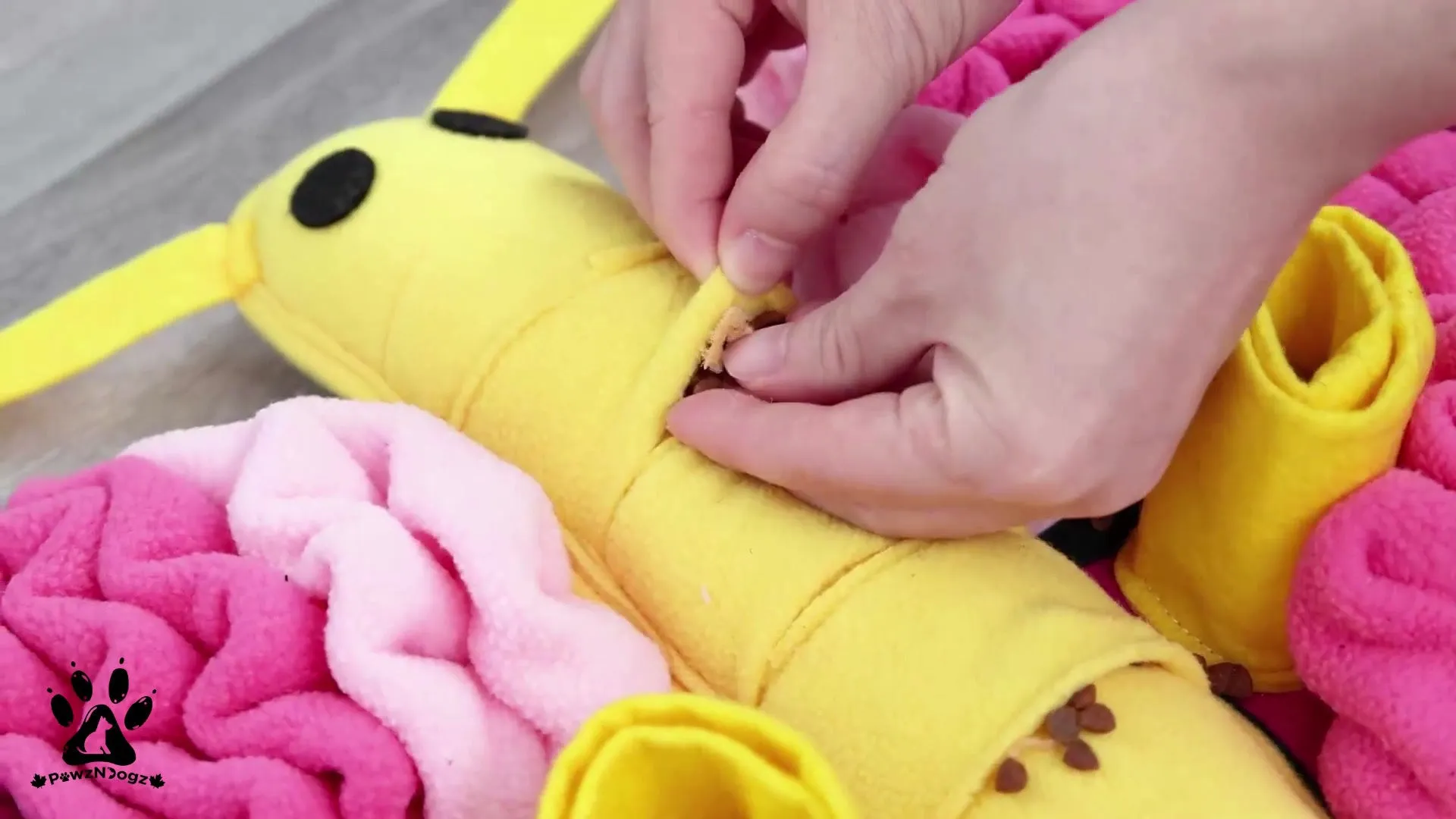 Pawz N Dogz Snuffle Mat - Radiant Butterfly - Level 3