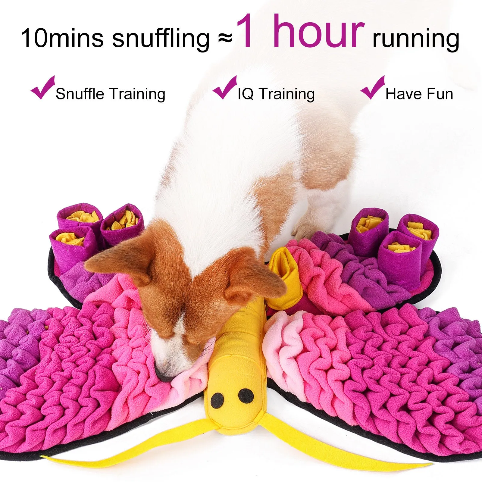 Pawz N Dogz Snuffle Mat - Radiant Butterfly - Level 3