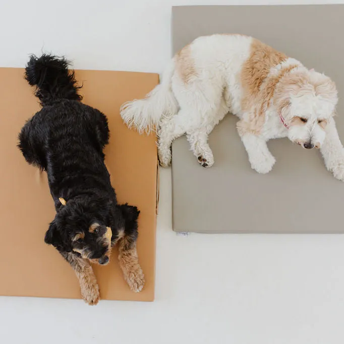 Pebble | Dog Bed Cover