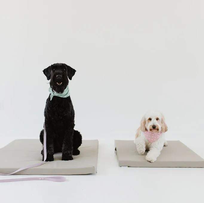 Pebble | Dog Bed Cover