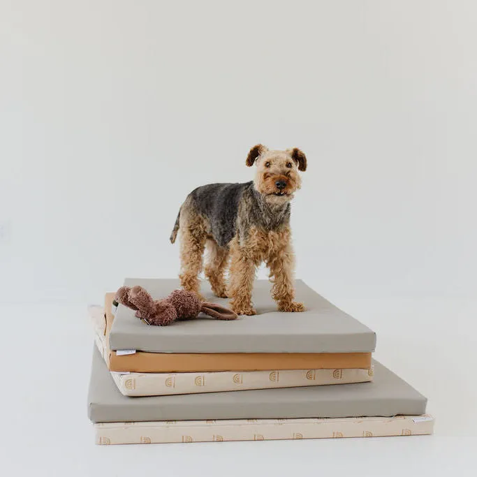 Pebble | Dog Bed Cover