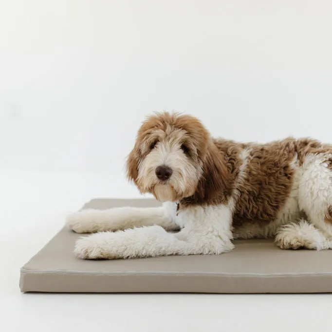 Pebble | Dog Bed Cover