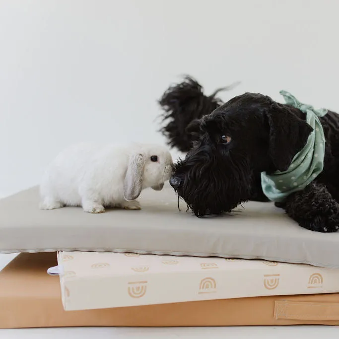 Pebble | Dog Bed Cover