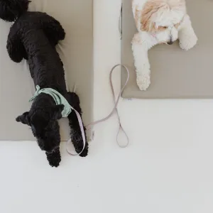 Pebble | Dog Bed Cover
