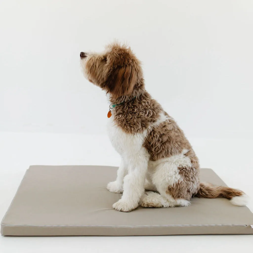Pebble | Dog Bed Cover