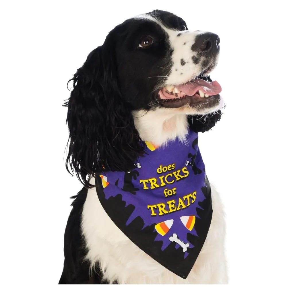 Rubies Tricks for Treats Pet Costume Bandana - Small/Medium