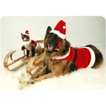 Santa Boy Harness Suit w/Hat & Leash