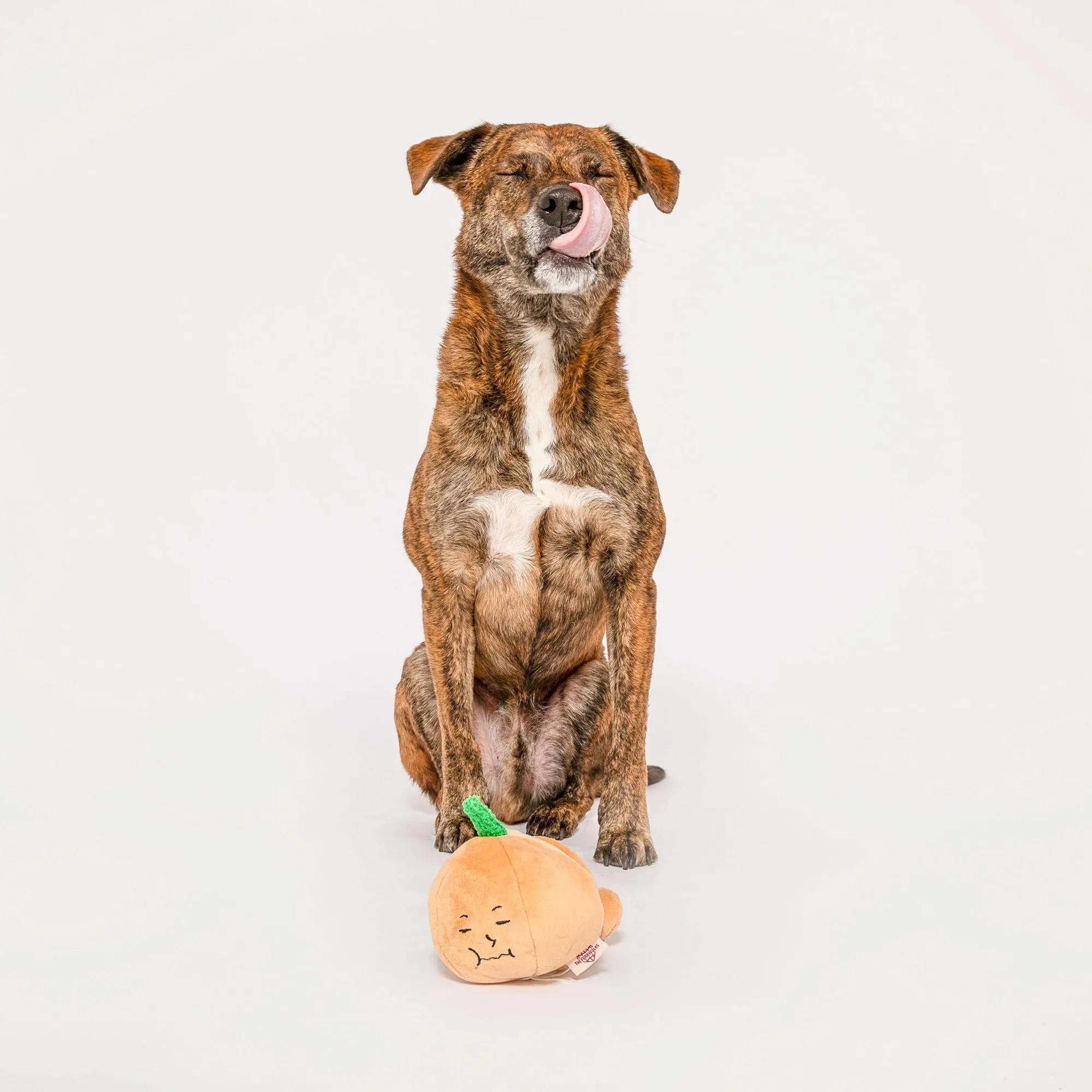 The Furryfolks Yellow Onion, Dog Toy