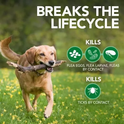 Vet’s Best Advanced Strength Flea   Tick shampoo